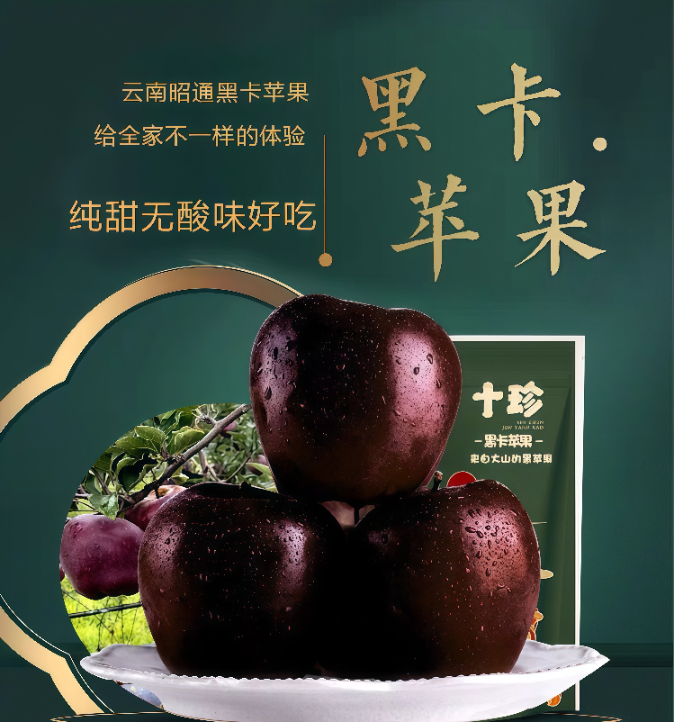 黑卡212-2