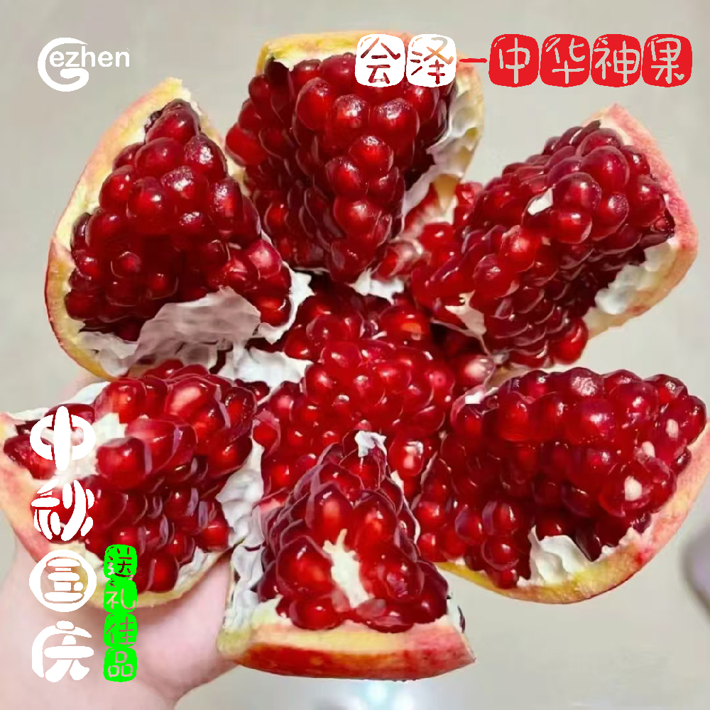 会泽石榴-1