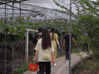 活动展示-11-