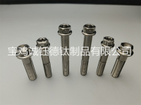 钛合金花头法兰螺栓-4