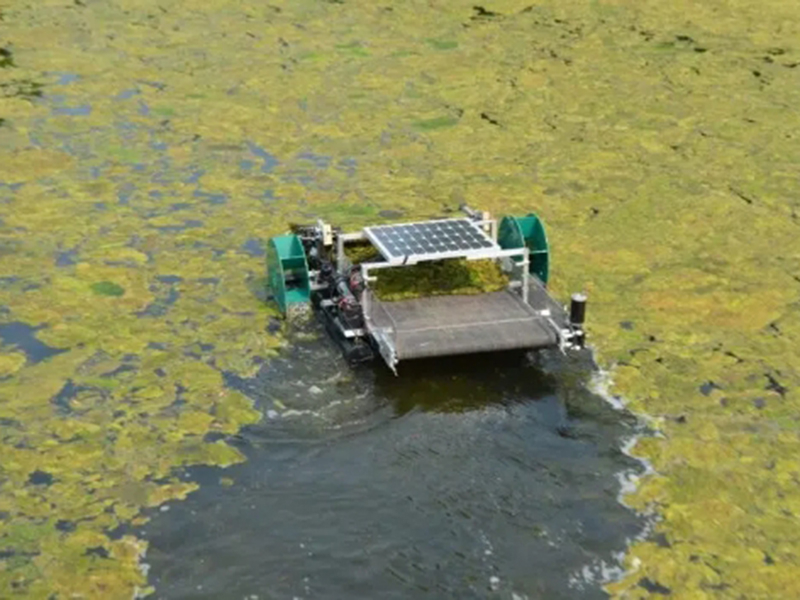 fa111a4589ba0c84c83eeaf6bd0a713