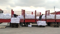 mmexport1606462707314