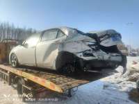 mmexport1741668116632