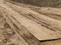 微信图片_20250315162341