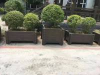 水泥花箱-微信图片_20220117095634