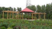 PVC藤架-IMG_6954