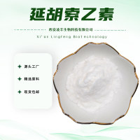 延胡索乙素