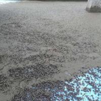 轻集料混凝土LC7.5-6-