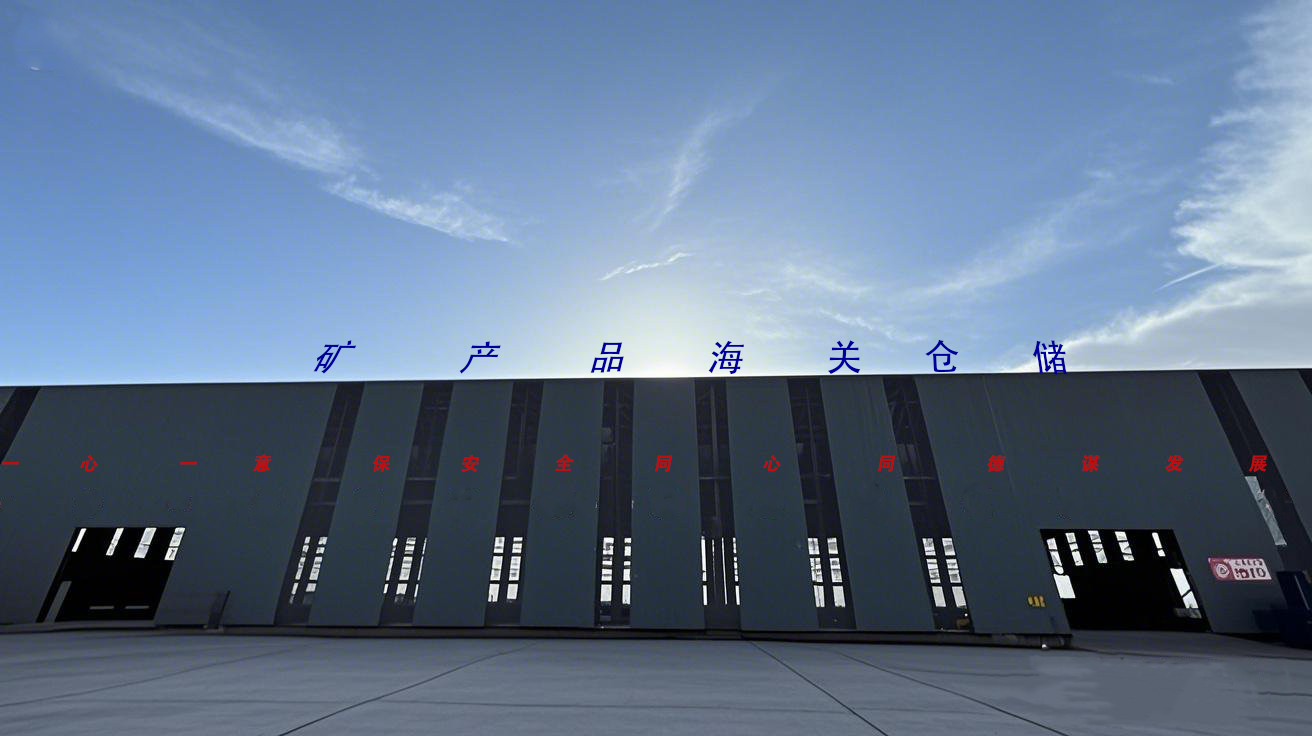 image_20250410173144_6cd4dd174b08f524180bce8bf98e62ec