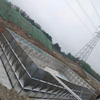 成都环城生态区生态修复综合项目-东、西片区二期六批次施工标段-4