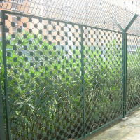 9fb6760825e01a93a2d3ef8b5dcb3340_i--LB1v7Q_FmgBlVJU4HdxAENkA