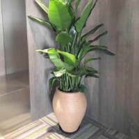 清水混凝土案例2
