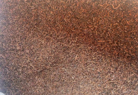protjs10