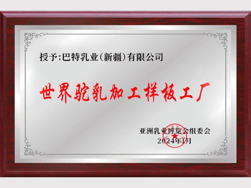 荣誉证书-2-
