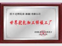 荣誉证书-2-