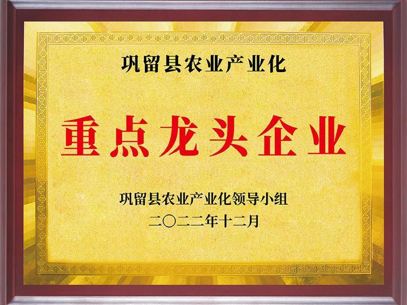 荣誉证书-7-