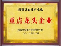荣誉证书-7-