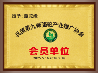 图片37