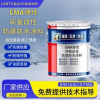EMA弹性环氧改性防腐防水涂料