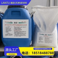 高性能环氧互穿聚合物防腐防水涂料1