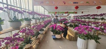 f5b3206093c63fc2cf19fdffa3568c9