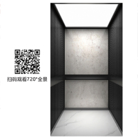 DFS-V2520-前