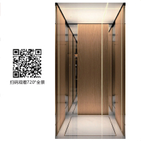 DFS-V2516-前