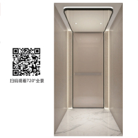 DFS-V2513-前