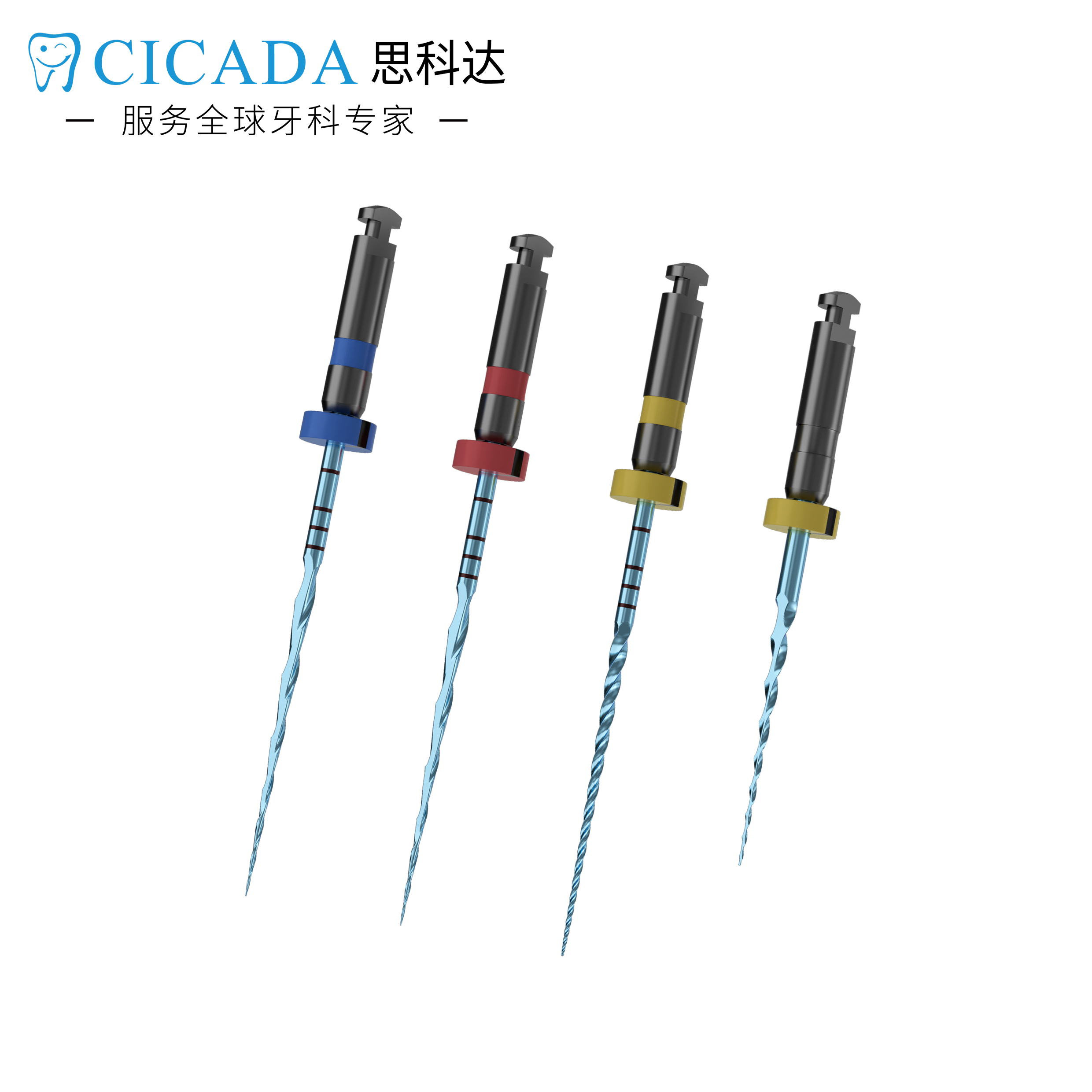 登煌医疗 - 高品质根管治疗设备与牙齿美白仪