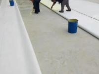 聚氯乙烯pvc防水卷材16