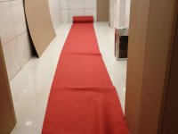 image-20250410172947-1