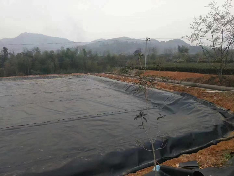 防渗膜施工