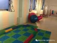image-20250410135523-1