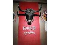 展览展示15