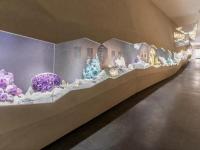 展览展示20