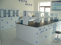 image-20250414113207-1