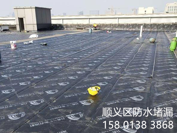1560406401682610860