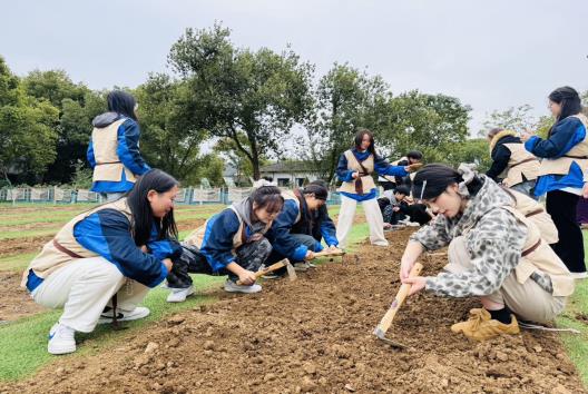 劳动教育实践活动