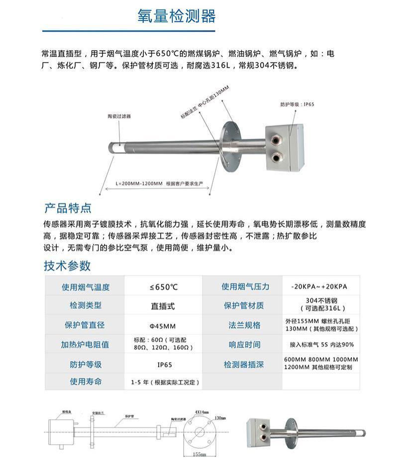 氧量检测器1
