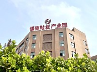 image-20250508114345-1