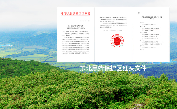 a22b80c1d9b8fa15367066903d68e7a4_about1-02