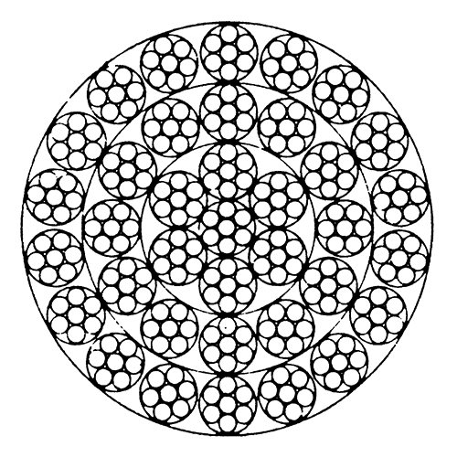 图片223