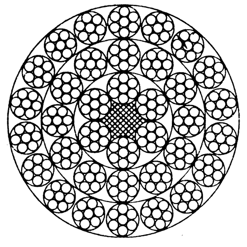 图片224