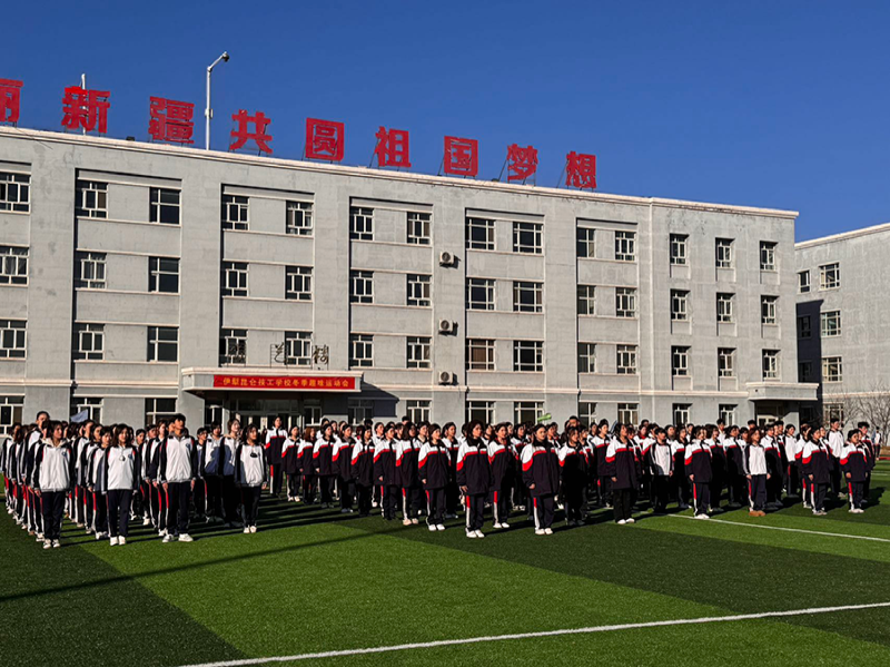 图片1