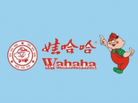 娃哈哈