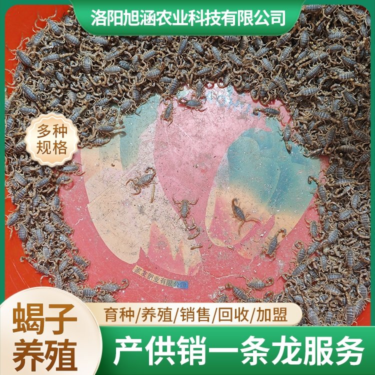 u-175043258,1775534331-fm-199-app-68-f-JPEG