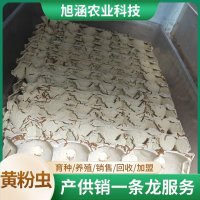 u-1414867683,1935613183-fm-199-app-68-f-JPEG