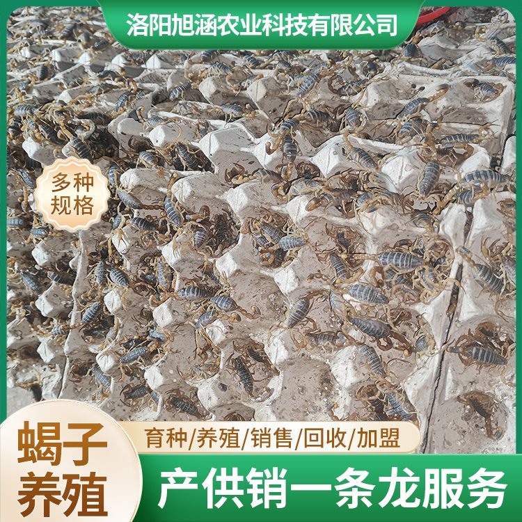 u-326168574,1209628556-fm-199-app-68-f-JPEG