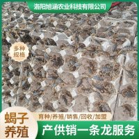 u-326168574,1209628556-fm-199-app-68-f-JPEG