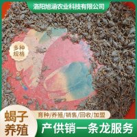 u-1953762839,453835528-fm-199-app-68-f-JPEG